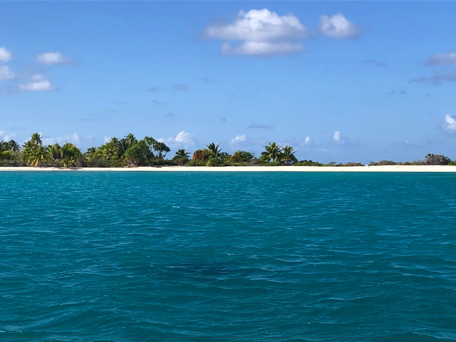 Omoa Rangiroa Tours