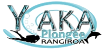 Y AKA Plongee